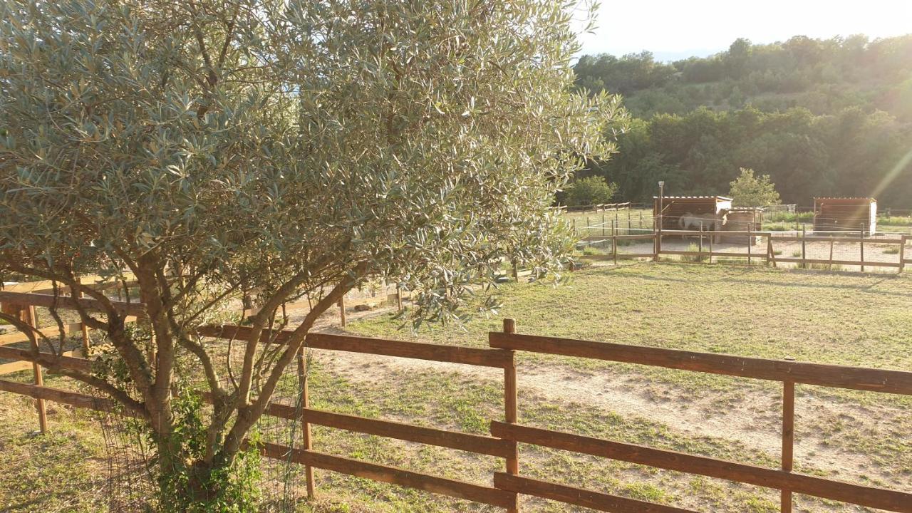 Chambre D'Hotes Le Petit Ranch Los Masos Экстерьер фото