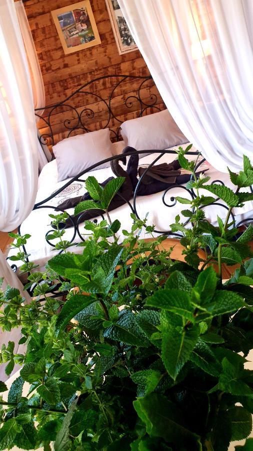 Chambre D'Hotes Le Petit Ranch Los Masos Экстерьер фото