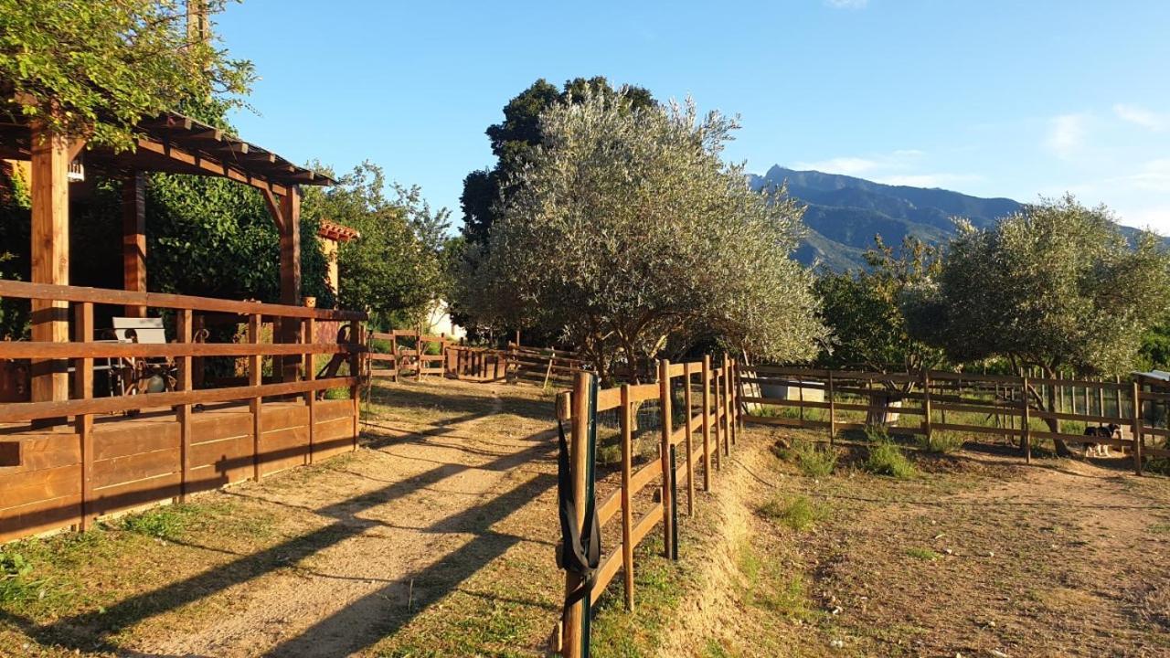 Chambre D'Hotes Le Petit Ranch Los Masos Экстерьер фото