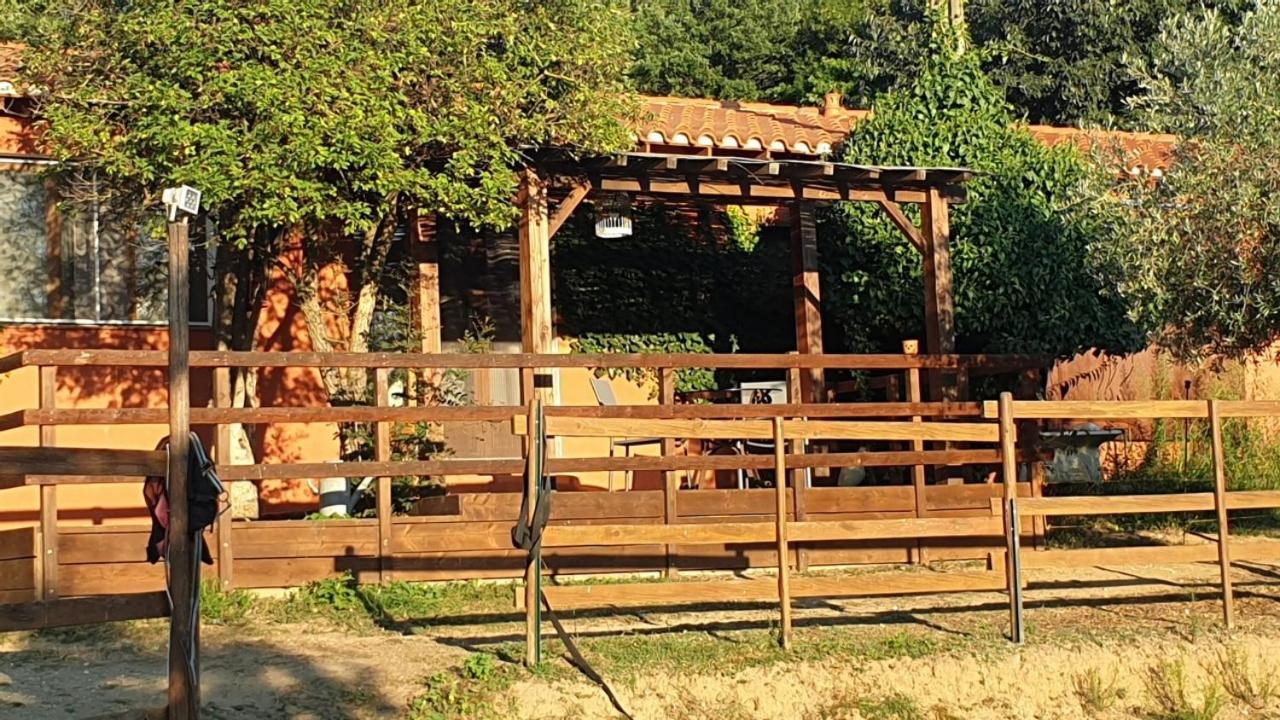 Chambre D'Hotes Le Petit Ranch Los Masos Экстерьер фото